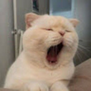 Meet your Posher, Shun lei